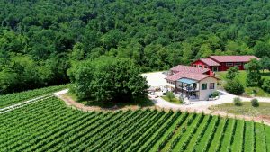 Cantina Cantina Le Favole Caneva