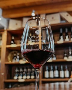degustazione vini rossi Le Favole